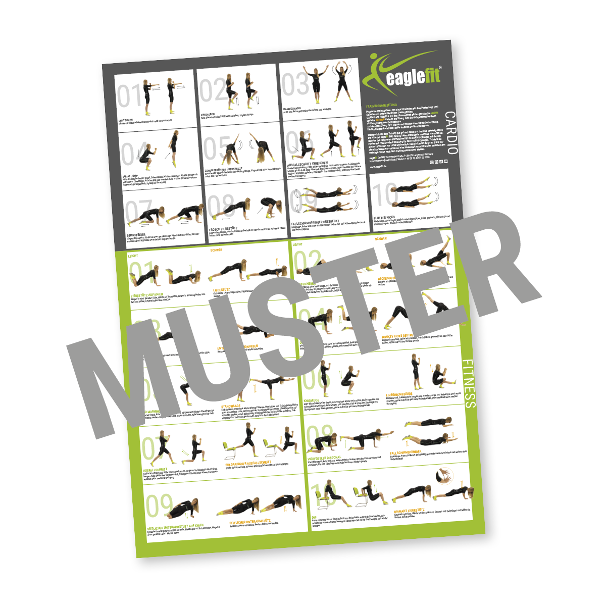 EMS Exercise poster with 30 exercises – eaglefit GmbH