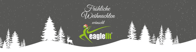 eaglefit wünscht frohe Weihnachten