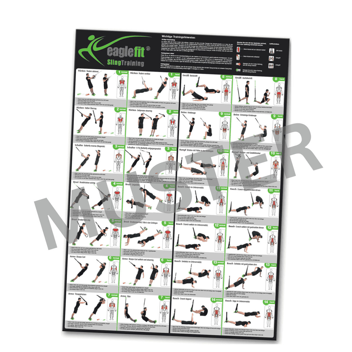 Sling Trainer exercise poster with 28 exercises | eaglefit – eaglefit GmbH