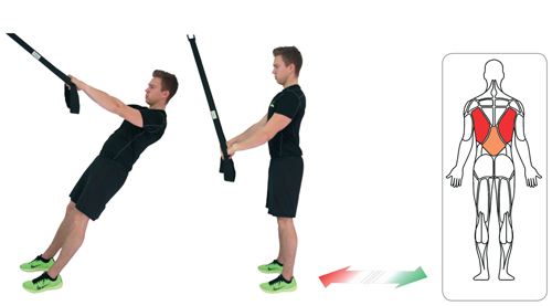Schlingen Trainer: 14 interaktive Ganzkörper-Übungen | eaglefit® | Slingtrainer