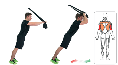 Schlingen Trainer: 14 Ganzkörper-Übungen interaktive | eaglefit®