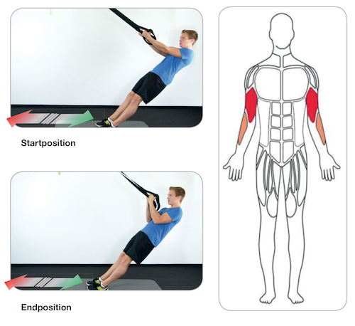 The most important basic exercises for the SlingTrainer